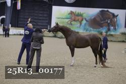 25R13_00177 thumbnail