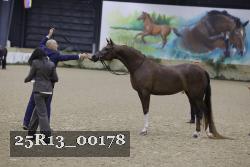25R13_00178 thumbnail