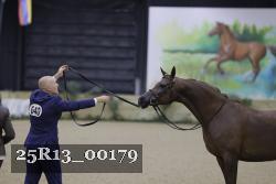 25R13_00179 thumbnail