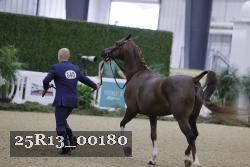 25R13_00180 thumbnail