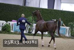 25R13_00181 thumbnail
