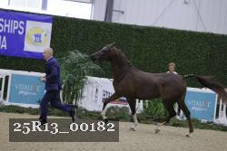 25R13_00182 thumbnail