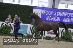 25R13_00183 thumbnail