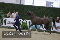 25R13_00185 thumbnail