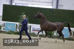 25R13_00187 thumbnail