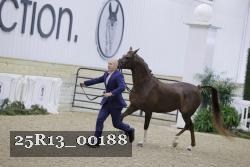 25R13_00188 thumbnail