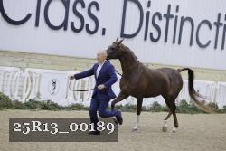 25R13_00189 thumbnail