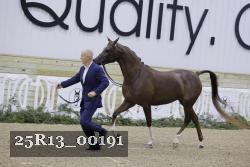 25R13_00191 thumbnail