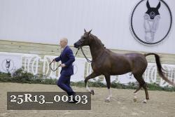 25R13_00193 thumbnail