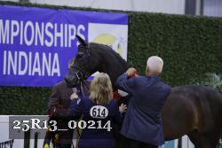 25R13_00214 thumbnail