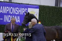 25R13_00215 thumbnail