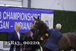 25R13_00220 thumbnail