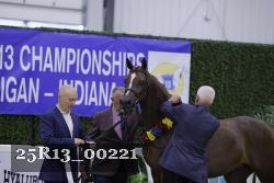25R13_00221 thumbnail