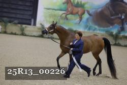 25R13_00226 thumbnail