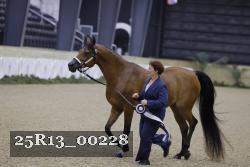 25R13_00228 thumbnail
