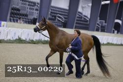 25R13_00229 thumbnail