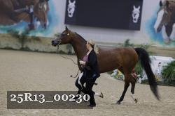 25R13_00230 thumbnail