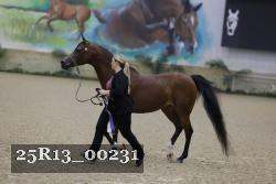 25R13_00231 thumbnail