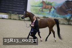 25R13_00232 thumbnail