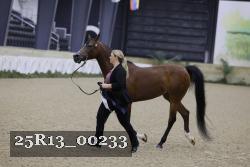 25R13_00233 thumbnail