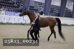 25R13_00234 thumbnail