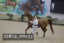25R13_00235 thumbnail