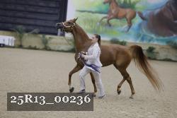 25R13_00236 thumbnail