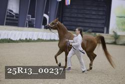 25R13_00237 thumbnail