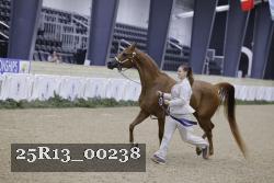 25R13_00238 thumbnail