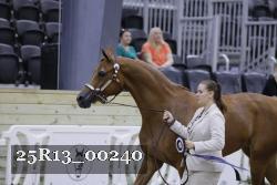 25R13_00240 thumbnail