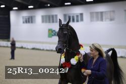 25R13_00242 thumbnail