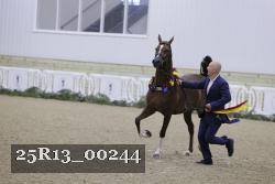 25R13_00244 thumbnail