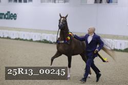 25R13_00245 thumbnail
