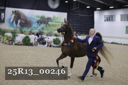 25R13_00246 thumbnail
