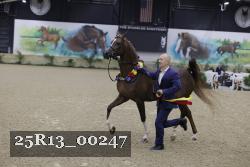 25R13_00247 thumbnail