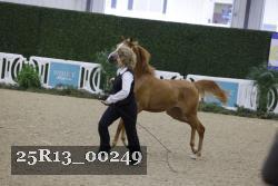 25R13_00249 thumbnail