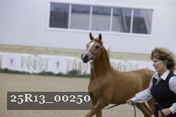25R13_00250 thumbnail