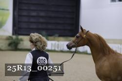 25R13_00251 thumbnail