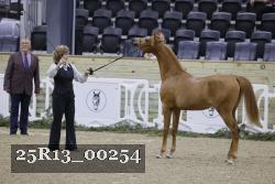 25R13_00254 thumbnail