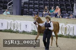 25R13_00257 thumbnail