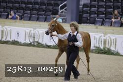 25R13_00259 thumbnail
