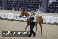 25R13_00260 thumbnail