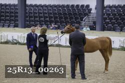 25R13_00263 thumbnail
