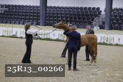 25R13_00266 thumbnail