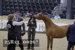 25R13_00267 thumbnail