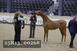 25R13_00268 thumbnail
