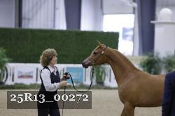 25R13_00272 thumbnail