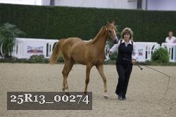 25R13_00274 thumbnail