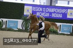 25R13_00277 thumbnail