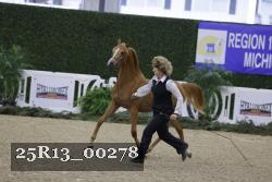 25R13_00278 thumbnail